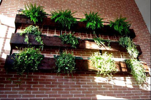 Réalisation d'un mur de verdure intérieur à Martigues